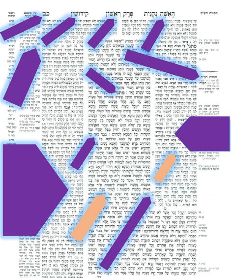 Basic Skills: The Tzuras Hadaf 2 [Gemara page] (Diagram) -Medium Diagram | Quizlet