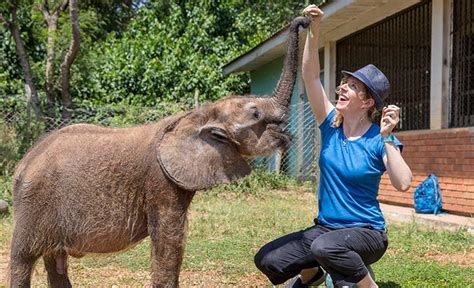 Entebbe UWEC Zoo, Wildlife Education Center | Gorilla Tracking Uganda