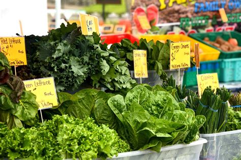 20 Different Types of Lettuce to Revamp Your Salad - Clean Green Simple