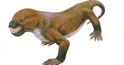 Ancient mammal-like reptile existed alongside early mammals - CBS News