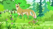 Deer Buckaroo | Wild Kratts Wiki | Fandom