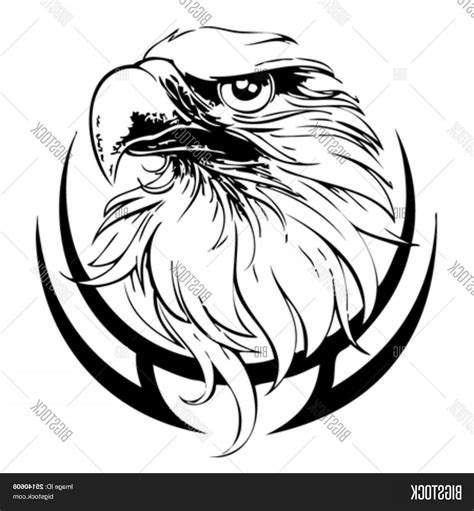 Eagle Line Art Vector at Vectorified.com | Collection of Eagle Line Art Vector free for personal use