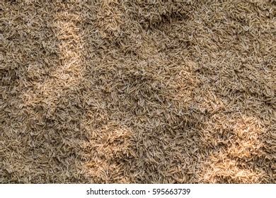 Playground Tanbark Texture Stock Photo 609091565 | Shutterstock