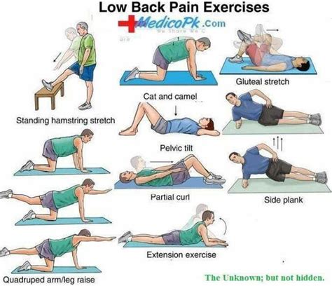 24 best Stretches To Relieve Lower Back Pain images on Pinterest | Lower backs, Exercises and ...