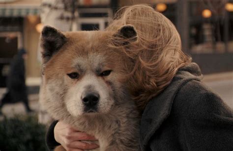 Hachi: A Dog's Tale (2009)