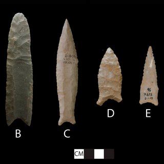 Projectile point chronology with corresponding Younger Dryas time ...