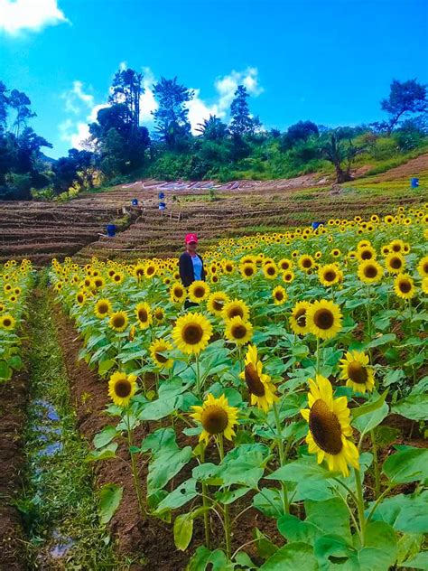 10 MUST-VISIT Attractions in Dalaguete | Sugbo.ph - Cebu