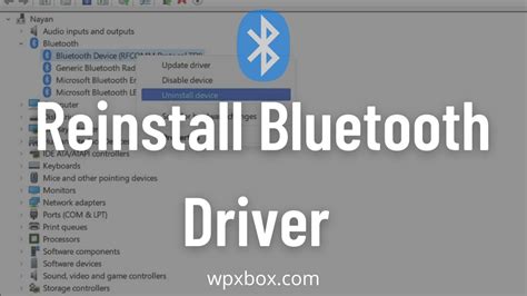 How To Reinstall Bluetooth Driver Windows 11/10?