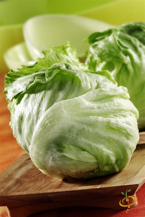 Lettuce - Iceberg