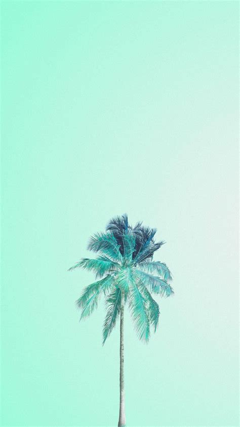 Download Mint Green Aesthetic Tree Wallpaper | Wallpapers.com