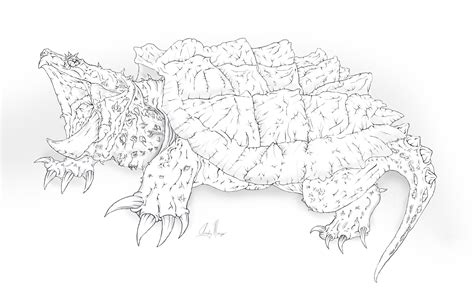 Download Alligator Snapping Turtle coloring for free - Designlooter ...