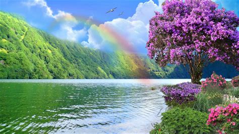 Natural Rainbow HD Wallpapers - Wallpaper Cave