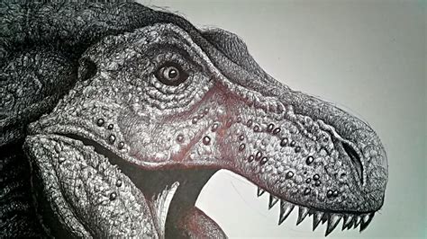 T Rex Dinosaur Sketch at PaintingValley.com | Explore collection of T ...