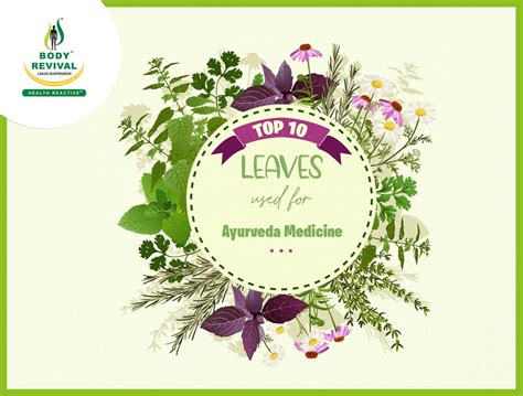 Top 10 medicinal plants name List Used As Medicine Leaves In Ayurveda| Health Reactive Blogs ...