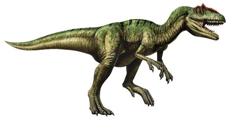 Allosaurus: Facts About the 'Different Lizard' | Live Science