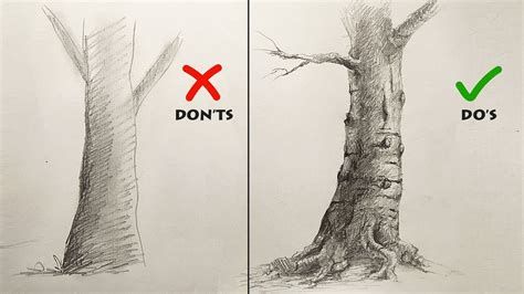 How To Draw A Realistic Tree Step By Step