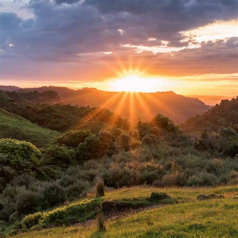 The Nature Conservancy in New Zealand