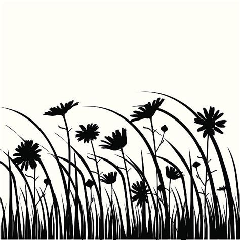 Royalty Free Silhouette Of A Daisy Flower Outline Black Clip Art, Vector Images & Illustrations ...