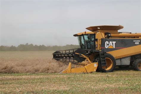 Oklahoma Farm Report - Canola Harvest Ends for 2010- We Show You ...