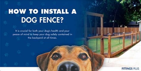 How to Intall a Dog Fence – FittingsPlus.com