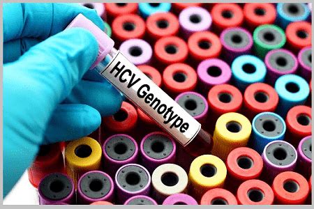 Hepatitis C Genotypes Treatment | GenericHope.com