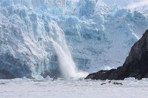 Gallery | The Yakutat Lodge | Fishing Alaska | Yakutat AK