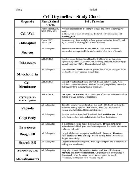 Cell Organelle Functions Worksheet Worksheets For All | Comment apprendre, Notes scolaires ...