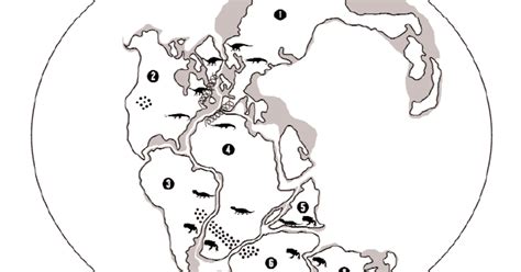 Plate Tectonics Puzzle: Activity for 4th/5th Graders | AMNH