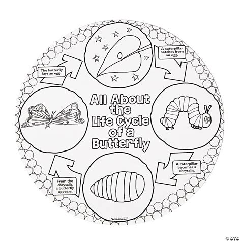 Color Your Own The Very Hungry Caterpillar™ Life Cycle Posters - Discontinued