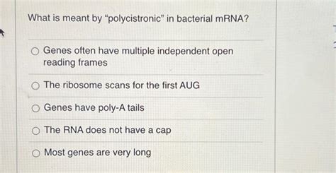 Solved What is meant by "polycistronic" in bacterial mRNA? | Chegg.com