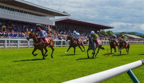 Redcar Racecards Horse Racing Tips | BettingTips4you