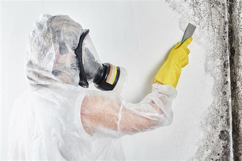 3 reasons why mold damage and remediation should be handled promptly ...