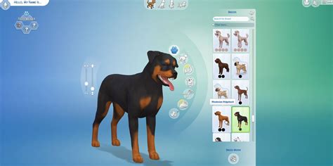 Sims 4 pets expansion pack - memphisstart