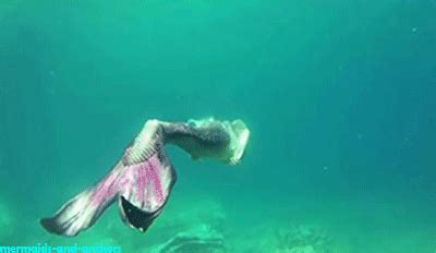 mermaid gif - Google Search | Mermaid gifs, Mermaid pictures, Mermaids and mermen