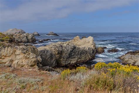 7 Stunning Hikes in Point Lobos — The Discoveries Of