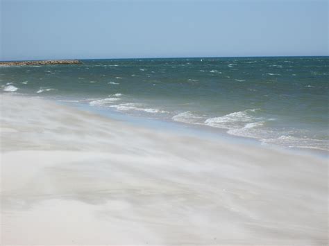 Seagull Beach Cape Cod | Cape cod, Cod, Cape