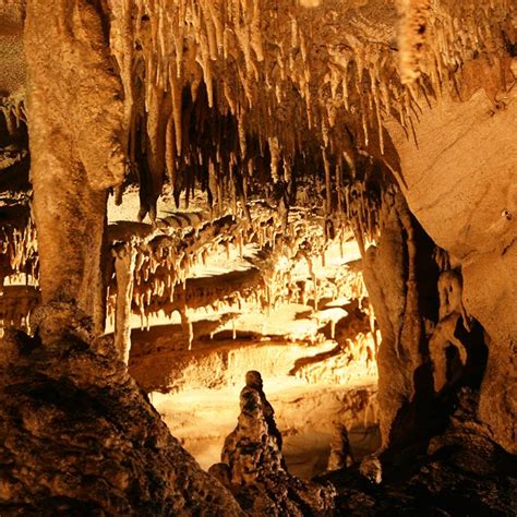 Mammoth Cave National Park: World Heritage Site (U.S. National Park ...