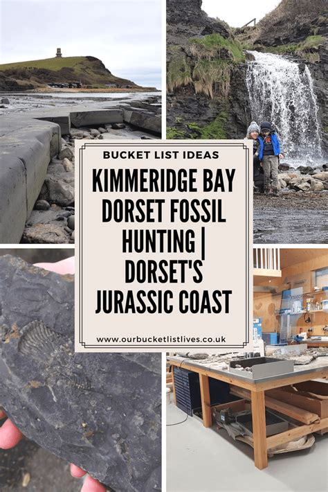 Kimmeridge Bay Dorset Fossil Hunting | Dorset's Jurassic Coast | Jurassic coast, Fossil hunting ...