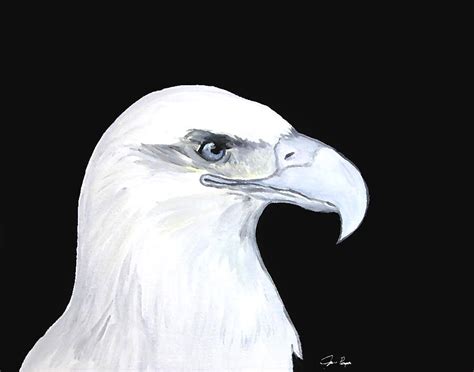 White Eagle Painting by Jennifer Page