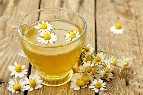 Chamomile Tea Uses In Gardens - Benefits Of Using Chamomile Tea For Plants | Gardening Know How