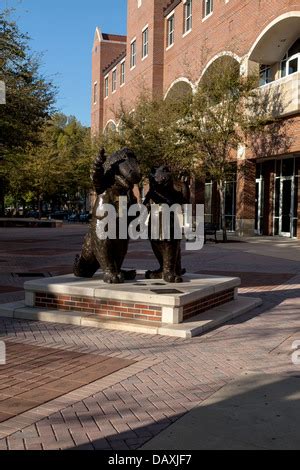 Gator mascots Albert and Alberta's bronze statues are a favorite local ...