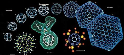 OMAX MicroscopeNet: Current Event: Quantum Biology could open up path for Solar Technology