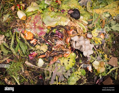 Fruit, flower and plant waste. Garden waste on the compost heap Stock Photo: 69300374 - Alamy