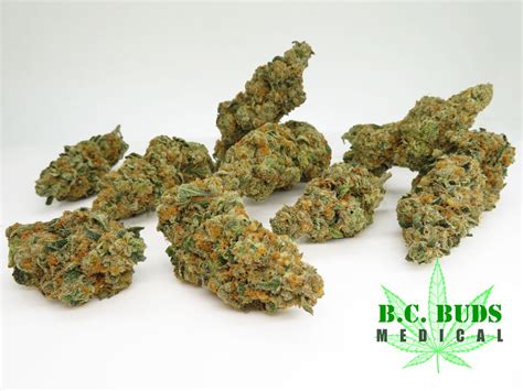 Order Face Off OG Online, BC Cannabis Dispensary Canada