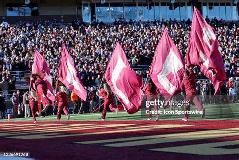 Florida State Seminoles Cheerleaders Photos and Premium High Res ...