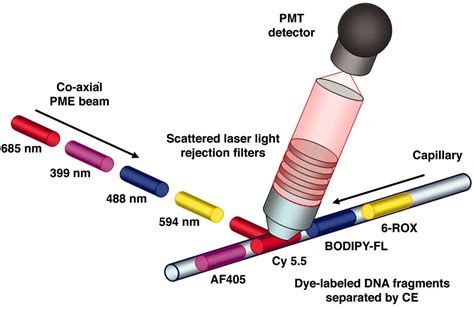 Fluorescence Spectroscopy – Freddy T. Nguyen, MD, PhD