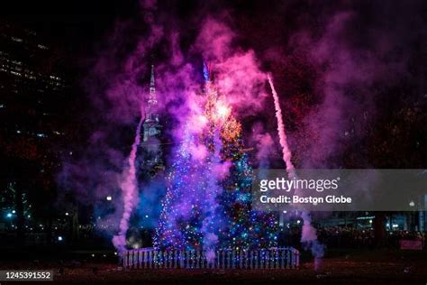 170 Boston Common Christmas Tree Stock Photos, High-Res Pictures, and ...