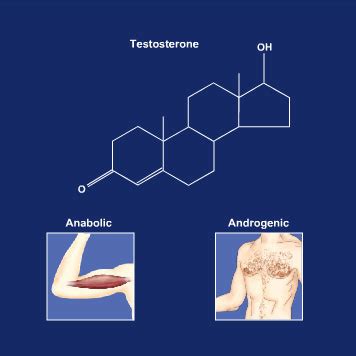 Content Background: The Biochemistry of Steroids – PEP