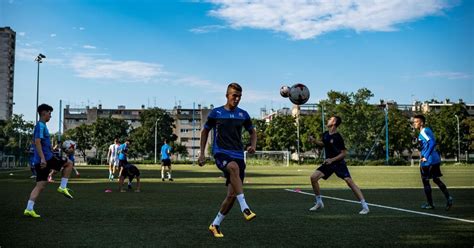 GNK Dinamo Zagreb Tryouts & Club Guide: History, Stadium, Players, and ...