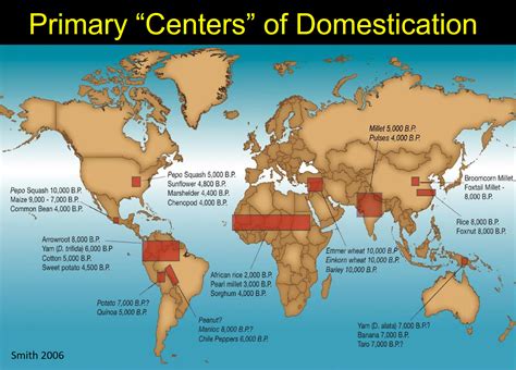 Domestication – An Introduction to Anthropology: the Biological and Cultural Evolution of Humans